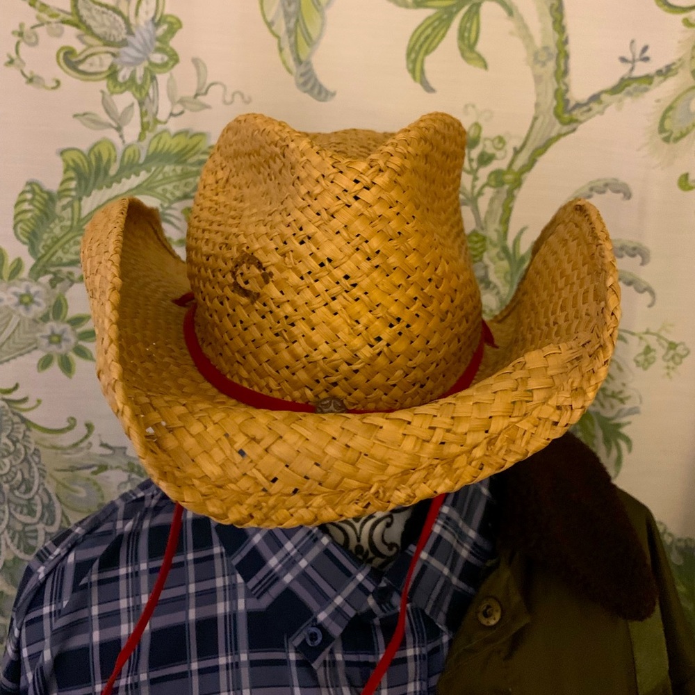 Women’s Charlie 1 Horse Straw Cowboy Hat 22” Gem